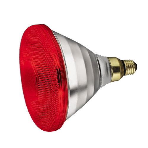 Piglet heating lamp - POLnet Sp. z o.o. i Wspólnicy - infrared