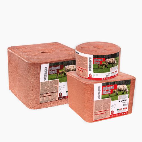 Cattle lick block Vetasupra REVA TARIM goat / for sheep / with