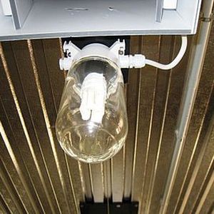 Barn light - SCHULZ Systemtechnik GmbH - for cattle / for goats / for pigs