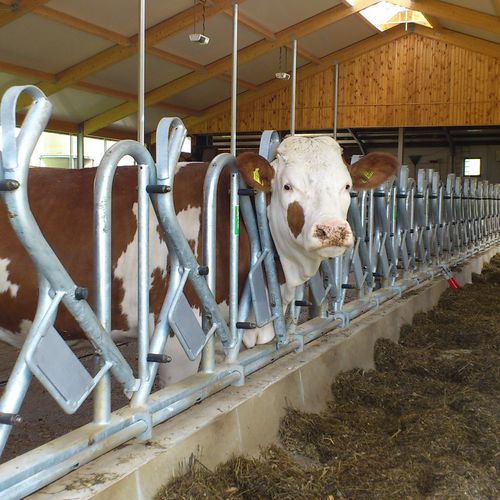 Cow feeder panel - Openline Rubos - Spinder Dairy Housing Concepts - standard / self-locking / Swedish