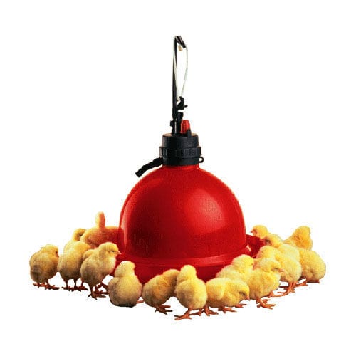Poultry drinker - T60 - TIGSA - for chickens / bell / plastic