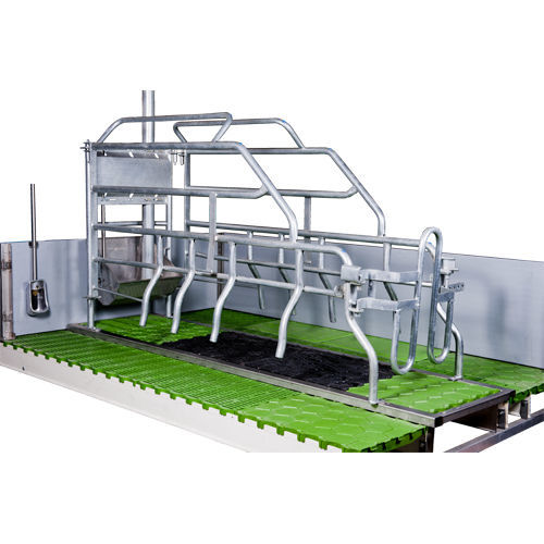 Adjustable gestation stall - Jaula de Maternidad - TIGSA - slatted floor / with drinker / anti-crush protection