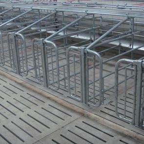 Farrowing stall - HA-Box - Vereijken Hooijer B.V. (Pro Dromi®)