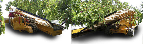 Fruit harvester machine - Gillison's Variety Fabrication, Inc. - walnut / self-propelled
