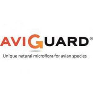 Animal feed supplement - AVIGUARD - Lallemand Animal Nutrition - poultry / with yeast / dry