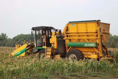 ヒッパーズ   Harvest Series  30個 PH19-_20_1024x.webp?v=1721122214