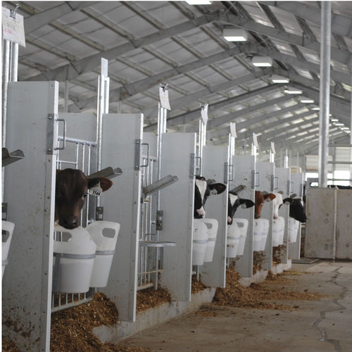 Livestock hutch - Standard - Artex Barn Solutions LTD. - calf / individual / indoor