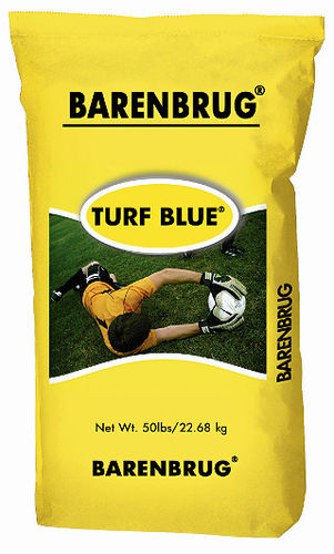 Seed turf - Turf Blue® - Barenbrug USA