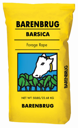 Rape fodder - Barsica - Barenbrug USA - for animal feed / for pasture / for cattle
