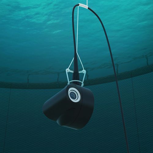 Surveillance camera - Orbit Series - Steinsvik AS - underwater
