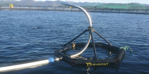 Cannon feeding system - RS/CF - AKVA group - for aquaculture / floating