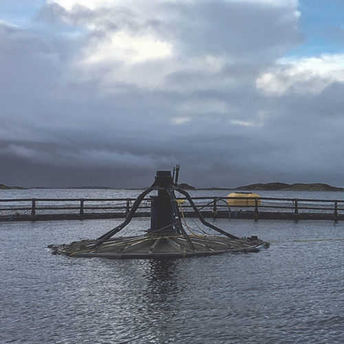 Anti-predator aquaculture net - Atlantis - AKVA group - for basin separation / nylon / salmon