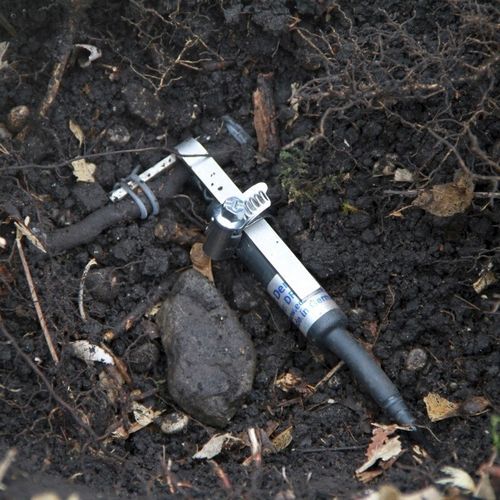 Root dendrometer - DD-RO - Ecomatik - aquatic plant / with data logger