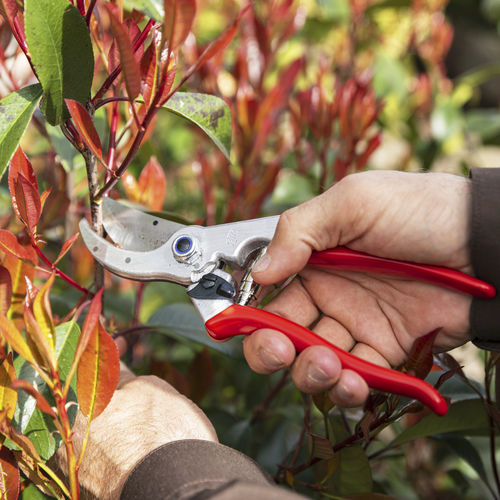 Manual pruning shears - 4 - Felco sa - for right-handed / anvil blade / precision