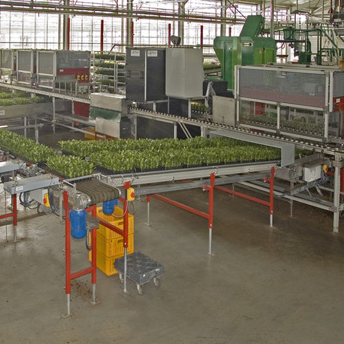 Plant tray sorter - YPS16 - Flier Systems - optical / automatic