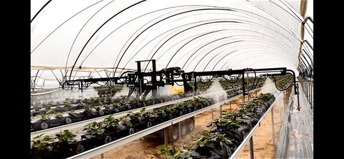 Self-propelled sprayer - Fumimatic - IDM - nursery plants / for vegetable cultivation / horticulture