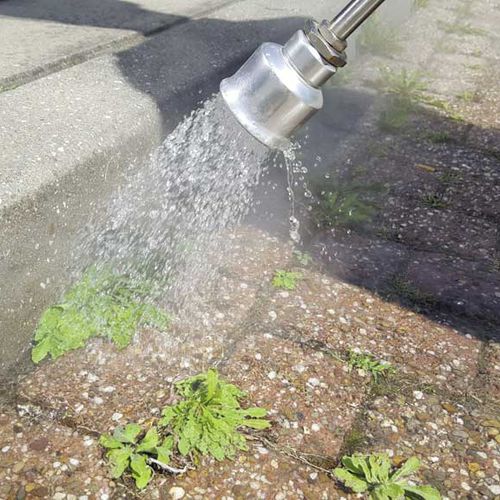 Thermal weeder - WS-MINI - Mantis ULV - push / electric
