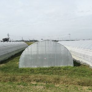 Tunnel type greenhouse - R- TU60,R- TU100,R- TUR96  - Rufepa - gardening / exhibition / plastic