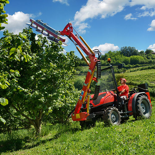Narrow tractor - FRUTTETO CLASSIC series - Same - mechanical transmission / arboriculture / vineyard