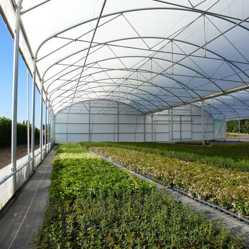 Multi span greenhouse - SERRE PROFESSIONNELLE MULTITUNNEL ATLANTIQUE - SERRES JRC - ornamentals production / plastic / permanent