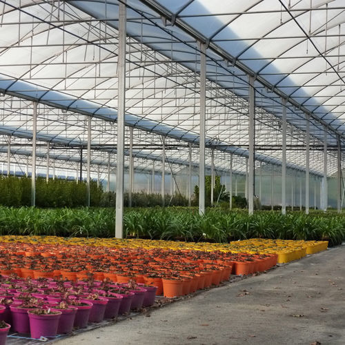 Multi span greenhouse - SERRE PROFESSIONNELLE HORTICOLE MULTICHAPELLE ATLANTIQUE - SERRES JRC - ornamentals production / plastic / permanent