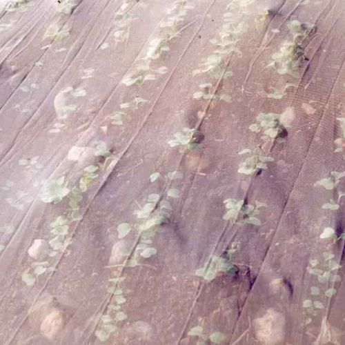 Insect net - Filbio®, Biothrips® - Texinov - for crops / for farm buildings