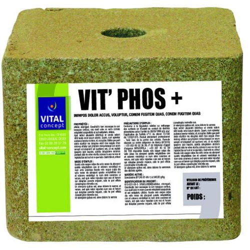 Cattle lick block - 11000003 - Vital Concept - salt / with trace elements / magnesium