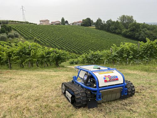 radio-controlled mower - Barbieri Group
