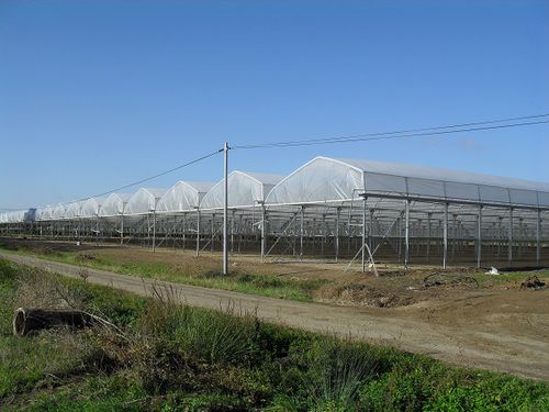 Multi span greenhouse - ASYBARRE  - Barre - plastic / with gutter