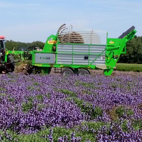 Lavender harvester machine - BE400HD - Bonino - towed