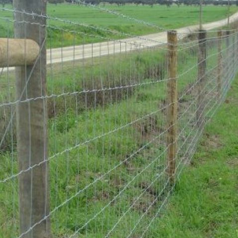 Knotted wire fence - FLEX - Carmo - galvanized