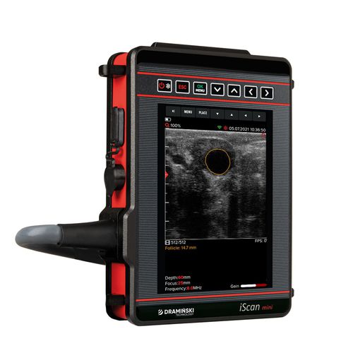 Portable veterinary ultrasound system - iScan Mini - DRAMINSKI S.A. - for large animals / linear / for reproductive imaging
