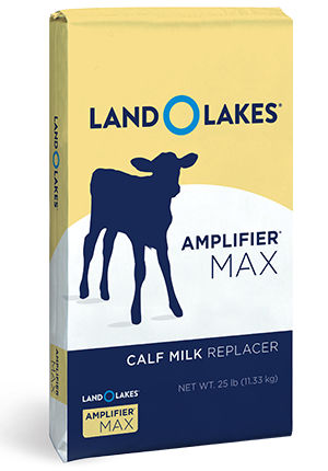 Calf milk replacer - Amplifier® Max - Land O'Lakes Animal Milk Products Co. - powder