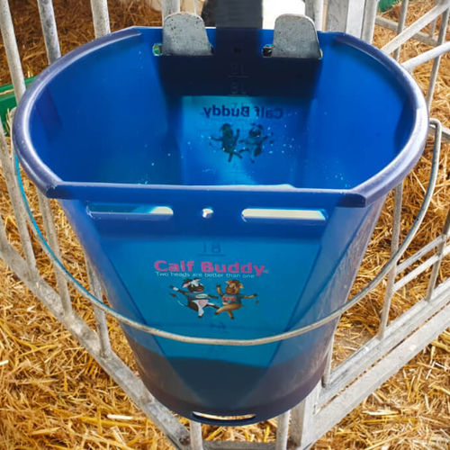 Calf nursing bucket Buddy™ 1 Milk Bar NZA plastic / single access
