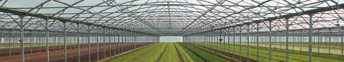 Greenhouse sheeting - Agripolyane - UV-resistant / thermal / anti-drip