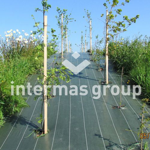 Plastic mulch - AGROSOL Series - INTERMAS