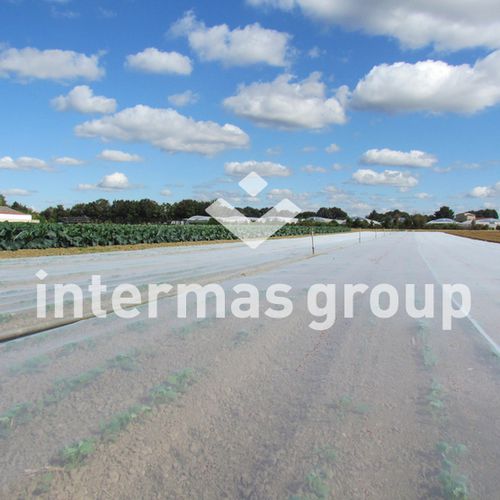 Insect netting - CLIMABIO Series - INTERMAS - polypropylene