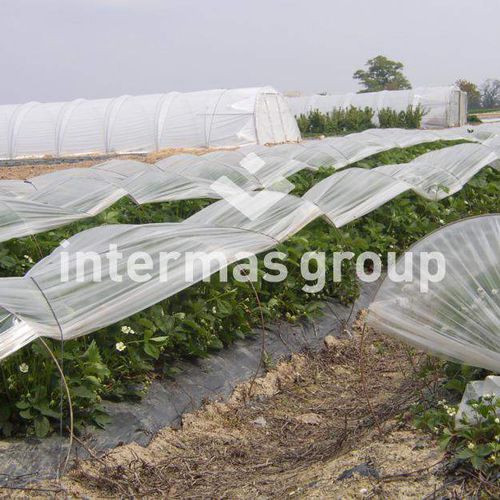 Low-tunnel sheeting - ARCEAUX PRO - INTERMAS