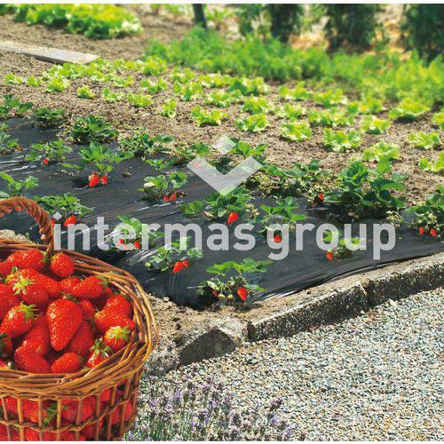 Weed control sheeting - INTERMAS - opaque / black