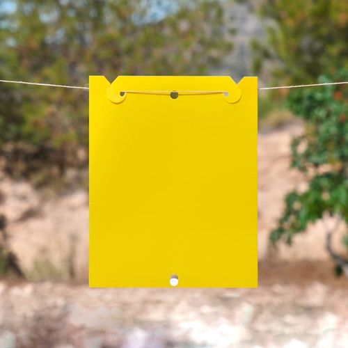 insect trap - HYDROPONIC SYSTEMS INTERNATIONAL