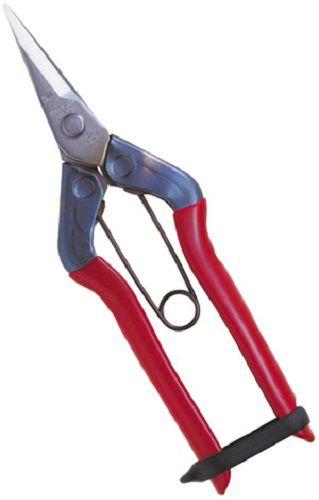 Fruit harvesting shears - T-55S - CHIKAMASA Co., LTD. - vegetable