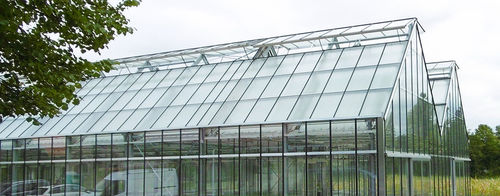 Multi-tunnel greenhouse - Hetterich - Kräss GlasCon GmbH - research / glass / steel frame