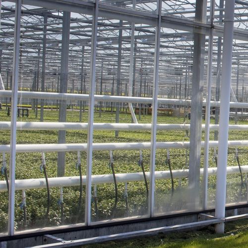 Greenhouse paint PipePaint ReduSystems solar reflective