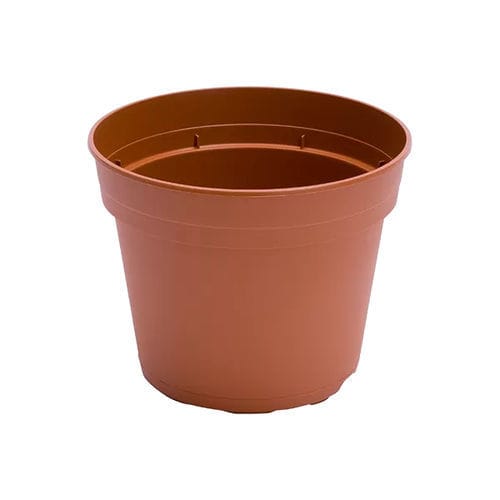 Plastic pot - AZALEA 11 - Thomsen S.A. - round