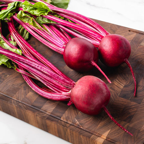 Edible beet seed - Denali - SAKATA ORNAMENTALS EUROPE A/S - rhizomania resistant / red / round