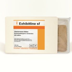Against Thrips nematode - Exhibitline Sf - Bioline Agrosciences Inc/Bioline Canada Inc - against gnats / adult