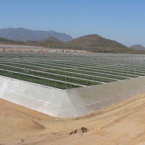 Plastic greenhouse - Cravo Equipment Ltd - flat roof