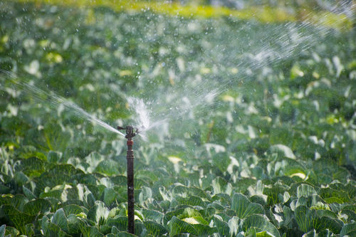 Rotating sprinkler - SCOVA IMPIANTI Srl - automated