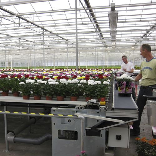Automatic horticultural handling system - WPS - for pots
