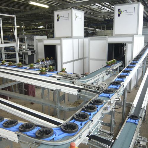 Potted plant sorting machine - SmartScan - WPS - optical / automatic